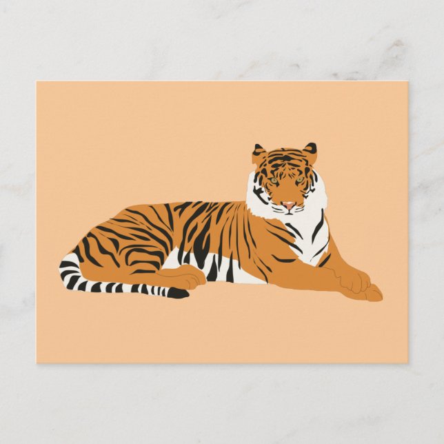 Jungle Tiger Animal  Holiday Postcard (Front)