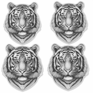 Jungle Tiger Face safari animal original nature
