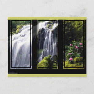Jungle Waterfall Triptych Digital Art Postcard