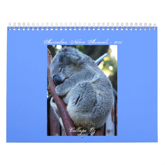 Junior Koala Calendar (Cover)