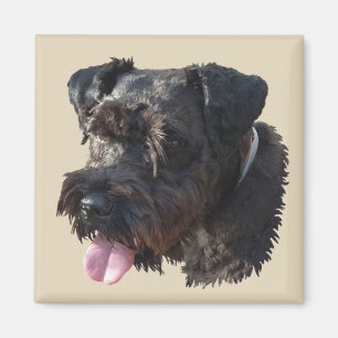 Junior The Schnauzer, magnet