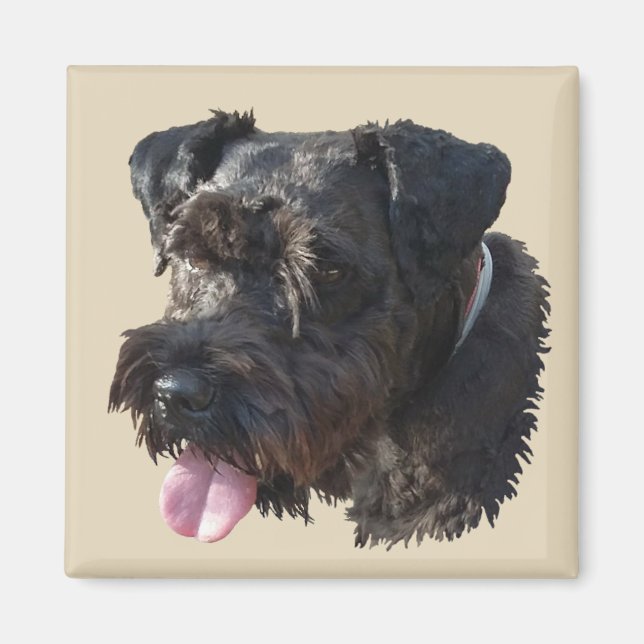 Junior The Schnauzer, magnet (Front)