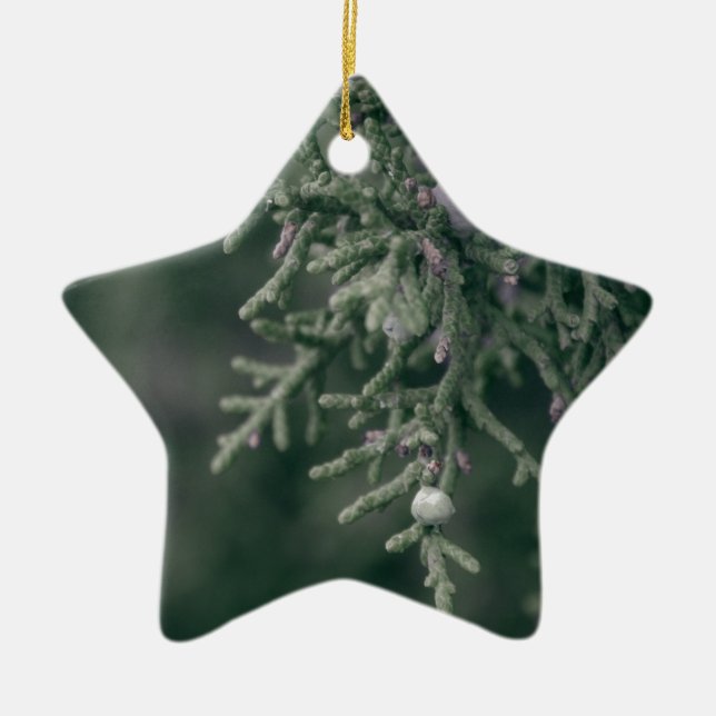 Juniper Berries Ceramic Tree Decoration (Front)