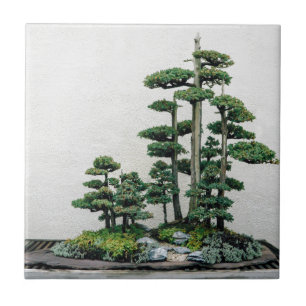Juniper Bonsai Forest Tile