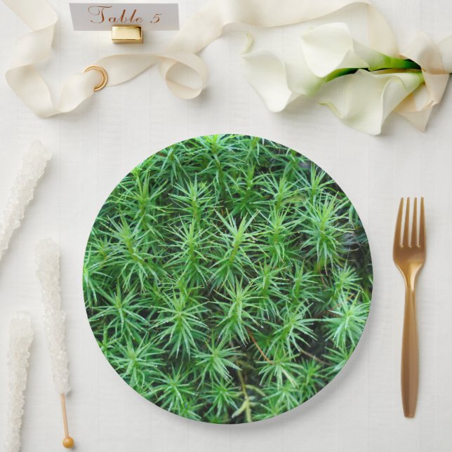 Juniper Hair Cap Moss  Paper Plate (Wedding)