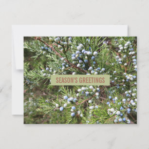 Juniper landscaping business holiday card