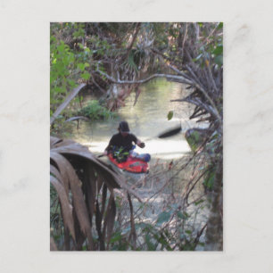 Juniper Springs, Fl Postcard