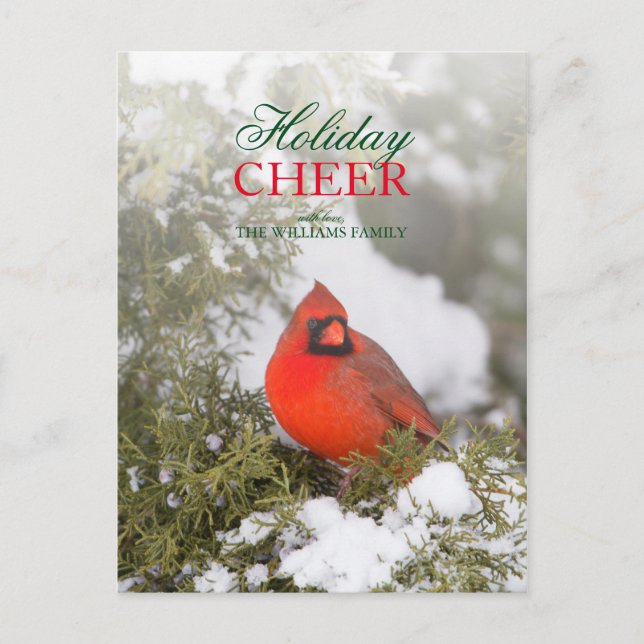 Juniper Tree with Cardinal Perched on Branch Holiday Postcard (Front)