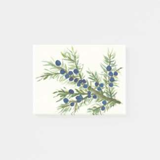 Juniper twig with blue berries post-it notes