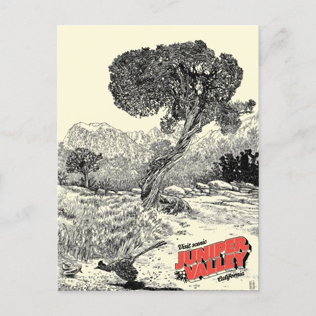 Juniper Valley Wilderness - Postcard (Front)