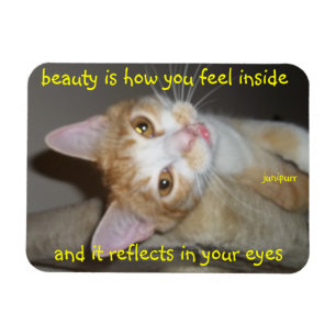 junipurr beauty magnet