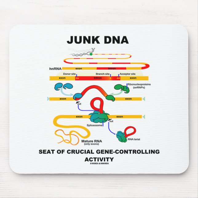 Junk DNA Seat Of Crucial Gene-Controlling Activity Mouse Pad (Front)
