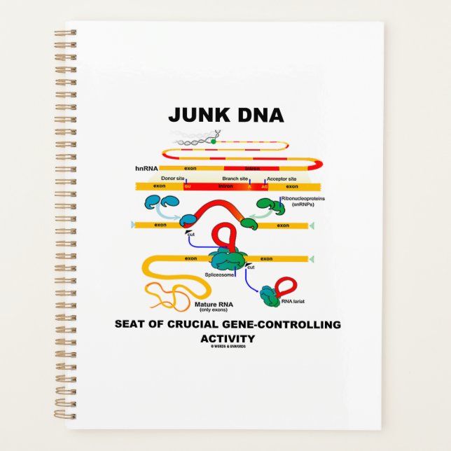 Junk DNA Seat Of Crucial Gene-Controlling Activity Planner (Front)