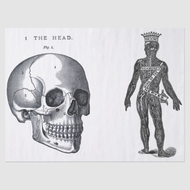 Junk Journal Anatomy Elements Sheet (Front)