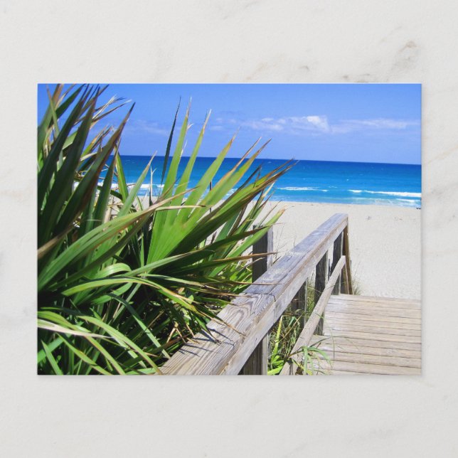 Juno Beach Florida Postcard (Front)