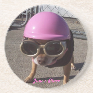 Juno Ready to roll! Coaster