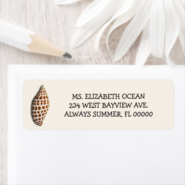 Junonia Seashell Cream Custom Return Address (Insitu)