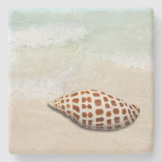 Junonia Seashell on the Beach Coasters (Front)