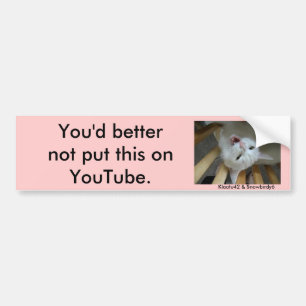 jupey1, You'd better not put this on YouTube., ... Bumper Sticker
