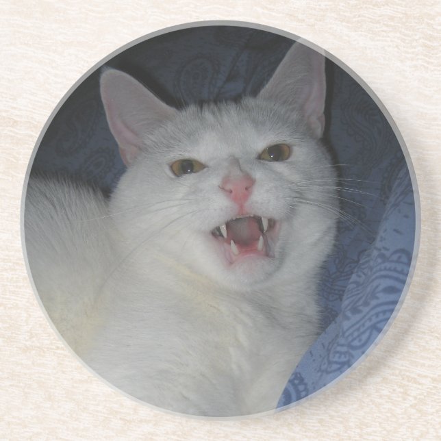 Jupiter Coaster (Front)