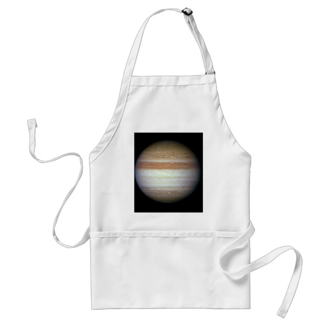 Jupiter June 7, 2010 Atmospheric Changes Standard Apron (Front)