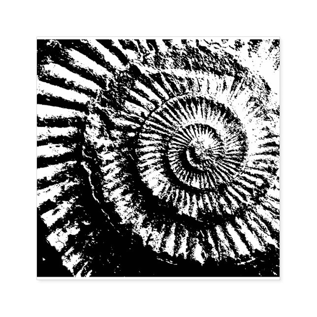 Jurassic ammonite negative imprint rubber stamp (Imprint)
