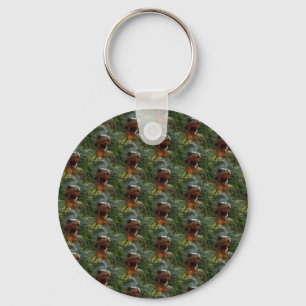 jurassic dinosaurs key ring