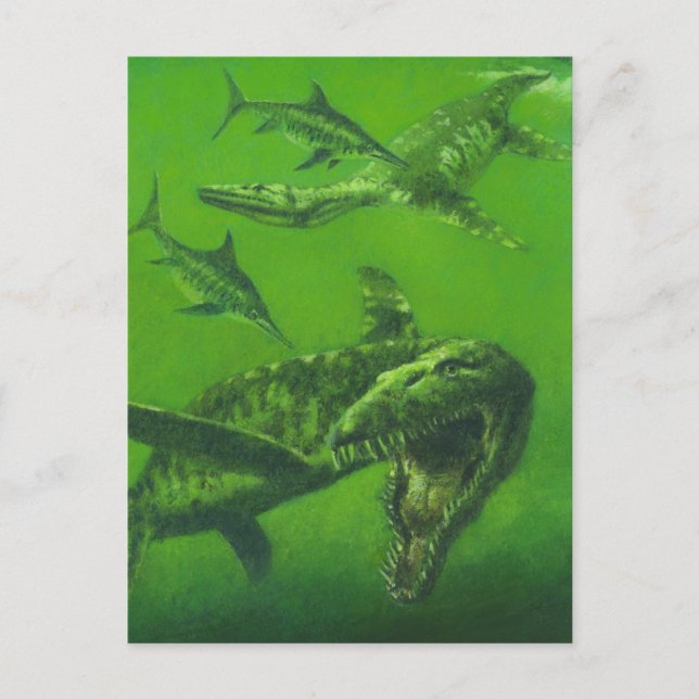 Jurassic Pliosaur Postcard (Front)