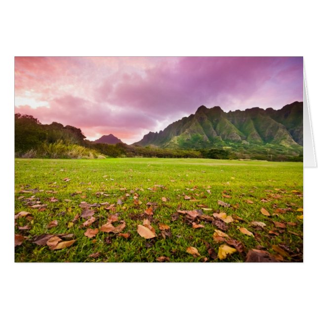 Jurassic Sunset (Front Horizontal)