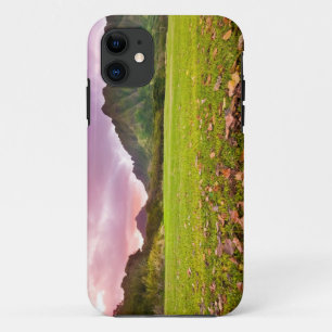 Jurassic Sunset iPhone 11 Case