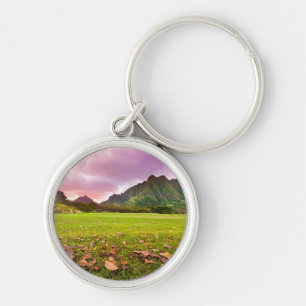 Jurassic Sunset Key Ring