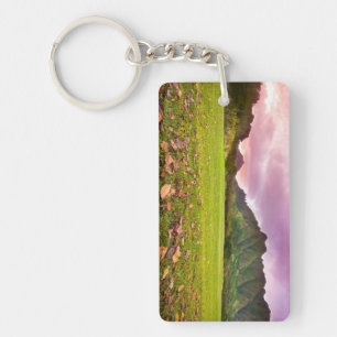 Jurassic Sunset Key Ring