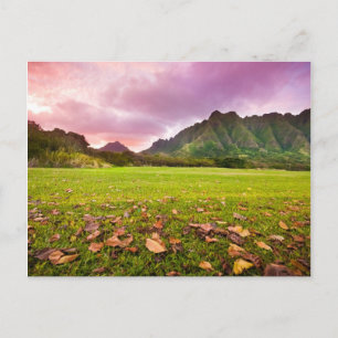 Jurassic Sunset Postcard