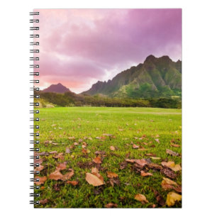 Jurassic Sunset Spiral Notebook