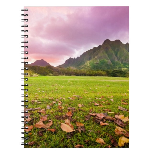 Jurassic Sunset Spiral Notebook (Front)