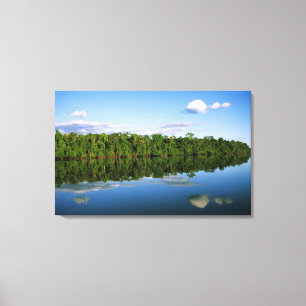 Juruena, Brazil. Forested river bank reflected Canvas Print