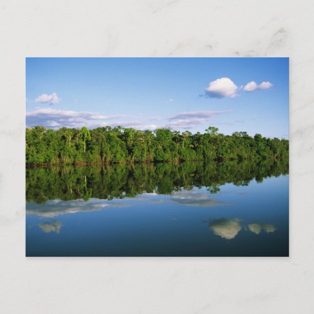 Juruena, Brazil. Forested river bank reflected Postcard (Front)