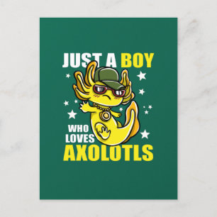 Just a boy who loves axolotls Cute Funny Kawaii Postcard