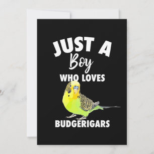 Just A Boy Who Loves Budgerigars Parrot Invitation