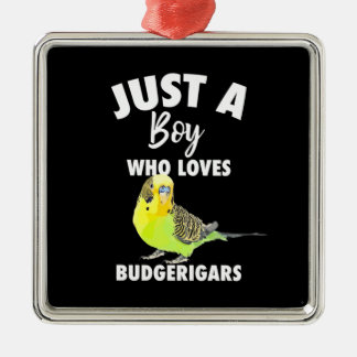 Just A Boy Who Loves Budgerigars Parrot Metal Tree Decoration