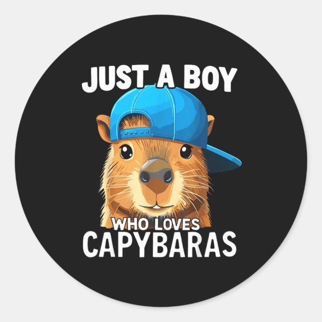 Just A Boy Who Loves Capybaras  Classic Round Sticker (Front)