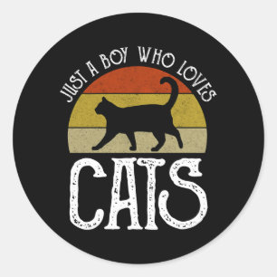 Just A Boy Who Loves Cats Classic Round Sticker