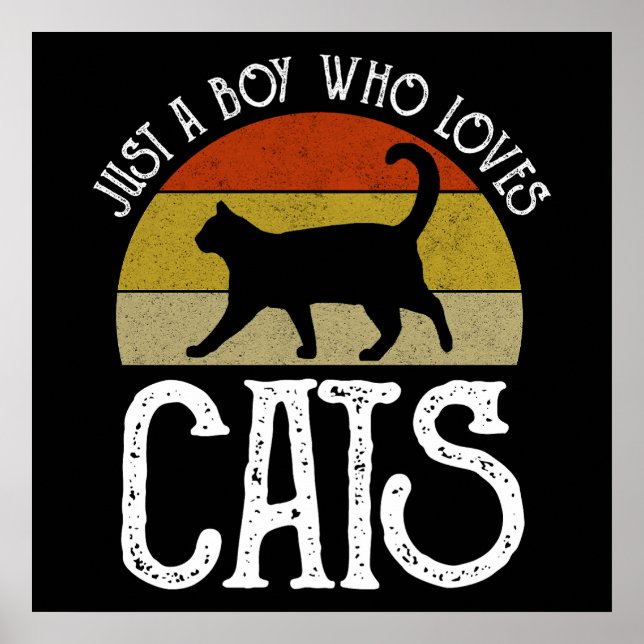 Just A Boy Who Loves Cats Poster (Front)