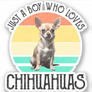 Just A Boy Who Loves Chihuahuas