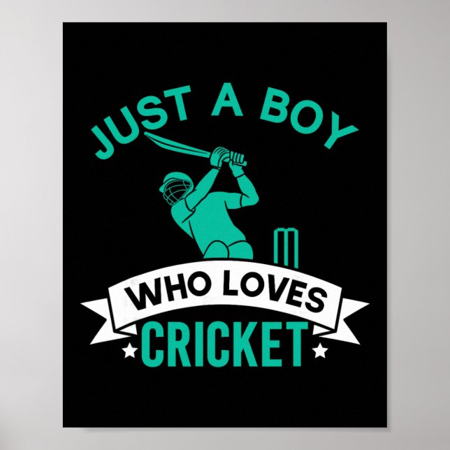 Just A Boy Who Loves Cricket Player Funny Cricket  Poster (Front)