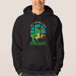Just A Boy Who Loves Dinosaurs Vintage Sunset Retr Hoodie