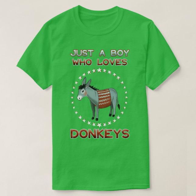 Just A Boy Who Loves Donkeys 1 T-Shirt (Design Front)
