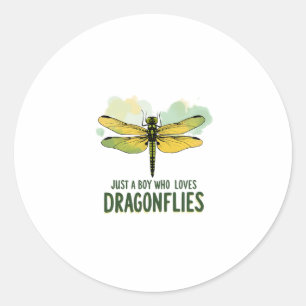 Just a Boy who loves Dragonflies. Dragonflies Drag Classic Round Sticker