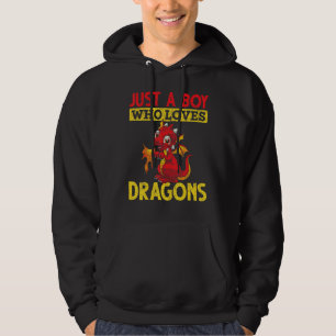 Just A Boy Who Loves Dragons Fantasy Animal Fire D Hoodie