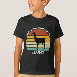 Just a boy who loves llamas T-Shirt